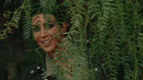 Kim Kardashian peeking out of a bush with a grin