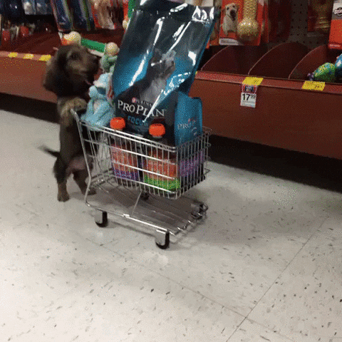Dog pushing a shopping trolley