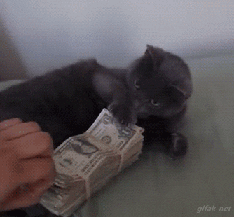 GIF A cat next to a bag of money hitting a human hand away
